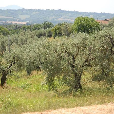 Podere San Giovanni Montoro  Exteriér fotografie