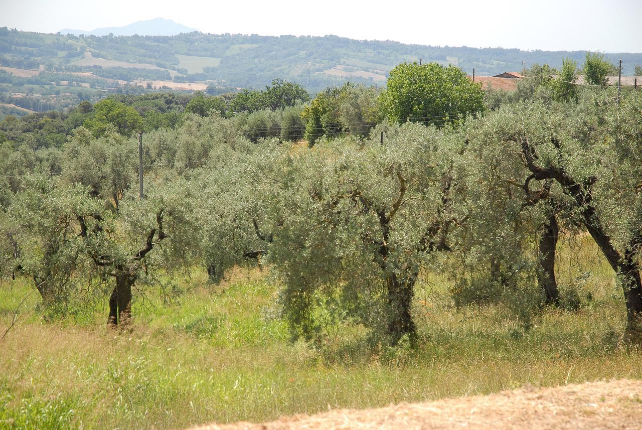Podere San Giovanni Montoro  Exteriér fotografie