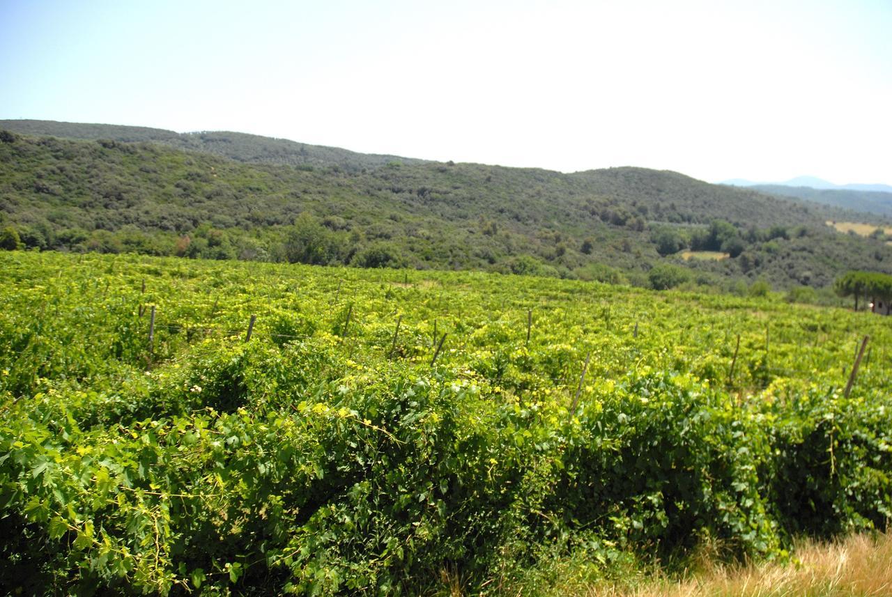 Podere San Giovanni Montoro  Exteriér fotografie